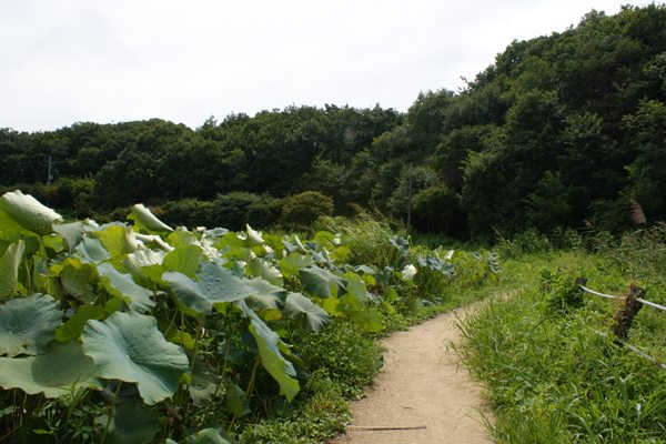 남양주 다산길11.JPG